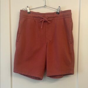 Goodfellow & Co Men's Athletic Shorts in Rust